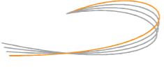 Ring Shine Textiles Ltd.